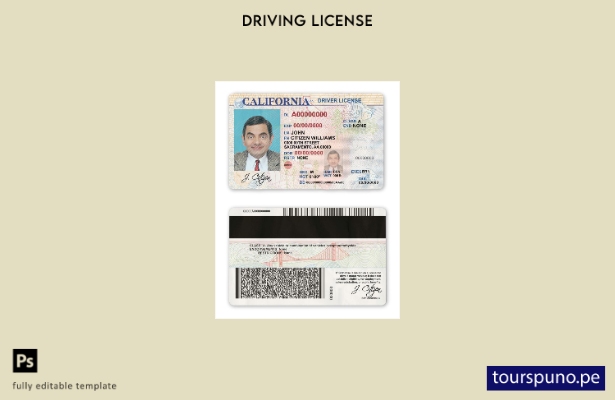 Plantilla de licencia de conducir de California de EE. UU. lista para imprimir